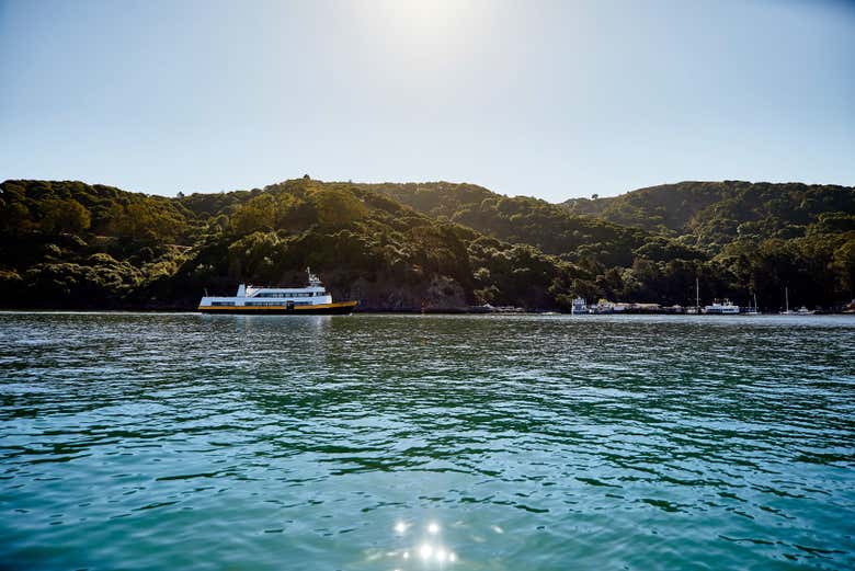 The ferry heading across the bay